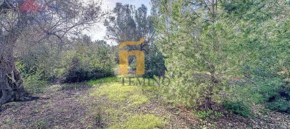 Terreno em Porto Cesareo, Italy 16070 m² N.º 145095 22