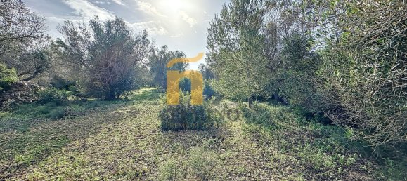 Terreno em Porto Cesareo, Italy 16070 m² N.º 145095 18