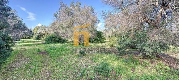 Terreno em Porto Cesareo, Italy 16070 m² N.º 145095 15