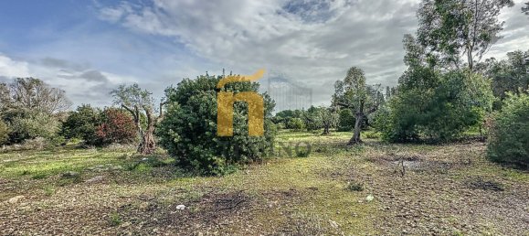 Terreno em Porto Cesareo, Italy 16070 m² N.º 145095 4
