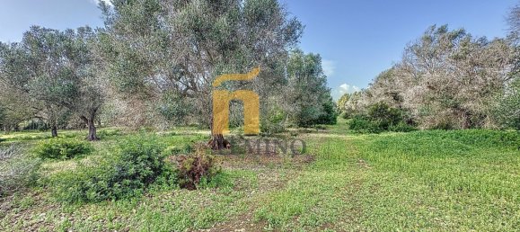 Terreno em Porto Cesareo, Italy 16070 m² N.º 145095 10