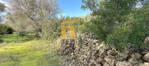 Terreno em Porto Cesareo, Italy 16070 m² N.º 145095 13