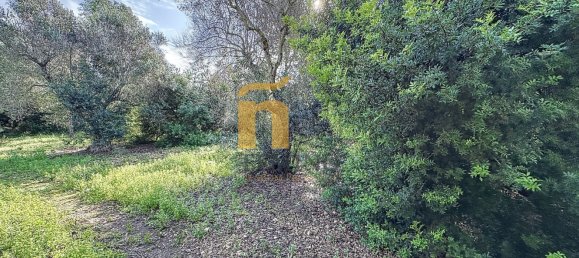 Terreno em Porto Cesareo, Italy 16070 m² N.º 145095 24