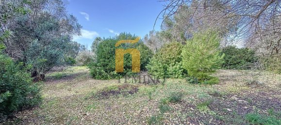 Terreno em Porto Cesareo, Italy 16070 m² N.º 145095 8