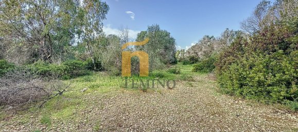 Terreno em Porto Cesareo, Italy 16070 m² N.º 145095 9