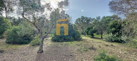 Terreno em Porto Cesareo, Italy 16070 m² N.º 145095 6