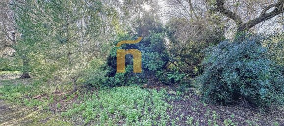 Terreno em Porto Cesareo, Italy 16070 m² N.º 145095 23