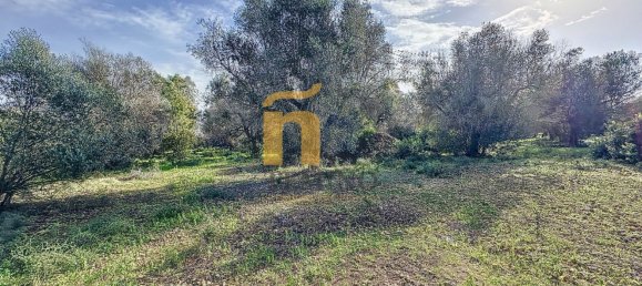 Terreno em Porto Cesareo, Italy 16070 m² N.º 145095 17