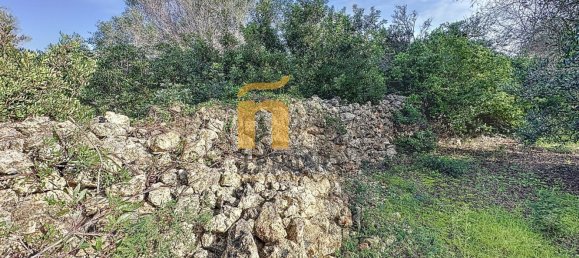 Terreno em Porto Cesareo, Italy 16070 m² N.º 145095 14