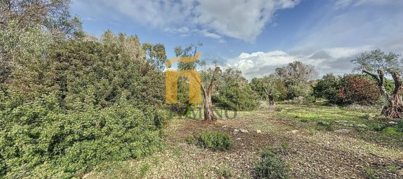 Terreno em Porto Cesareo, Italy 16070 m² N.º 145095 5