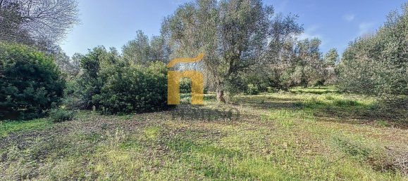 Terreno em Porto Cesareo, Italy 16070 m² N.º 145095 16