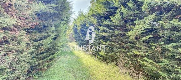 Apartamento de 1 dormitorio en Boissy-Saint-Leger, France No. 176337 10