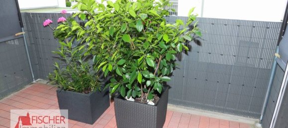 Apartamento T1 em Karlsruhe, Germany N.º 63700 6