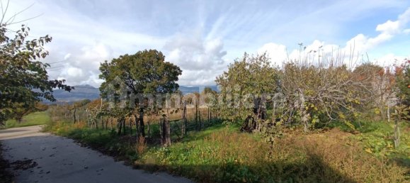 5 غرف نوم منزل في Rotonda, Italy رقم 31892 31