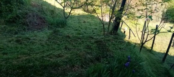 3 rooms Apartment in Carro, Italy No. 84256 7