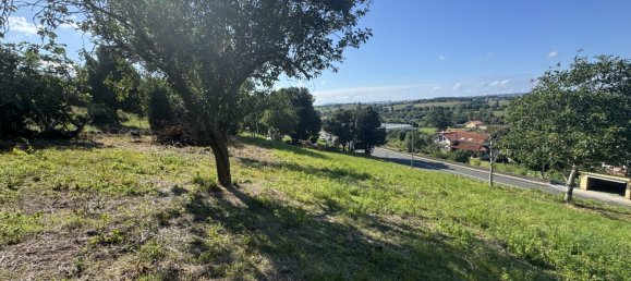 3382m² Land in Cantabria, Spain No. 184458 10