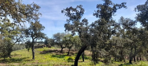 500m² Land in Santiago do Cacem, Portugal No. 135801 14