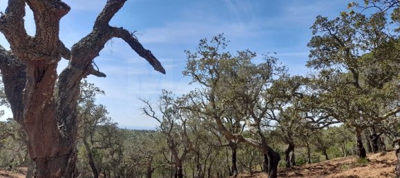 500m² Land in Santiago do Cacem, Portugal No. 135801 19