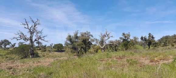 500m² Land in Santiago do Cacem, Portugal No. 135801 16