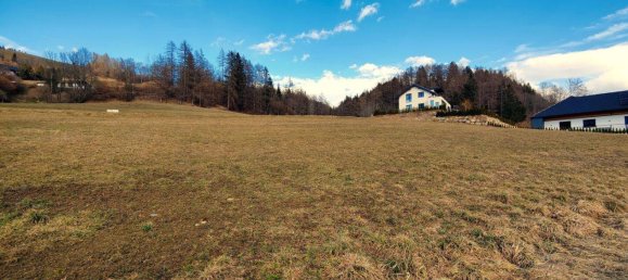  Land in St. Peter am Kammersberg, Austria No. 213499 2