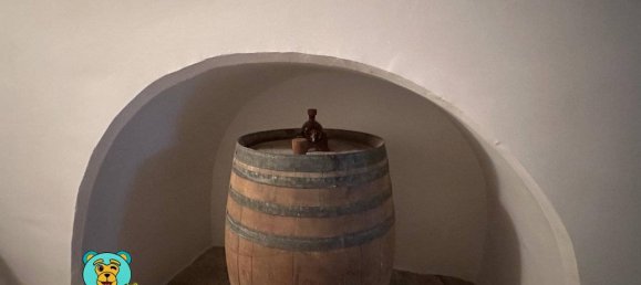 5 rooms Building in Soleto, Italy No. 42366 42