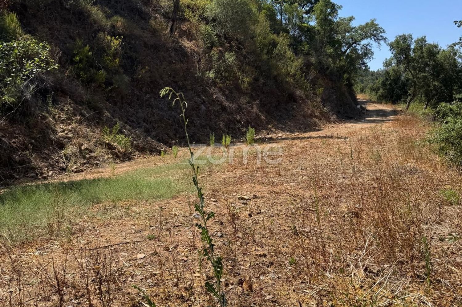  Land in Monchique, Portugal No. 244420