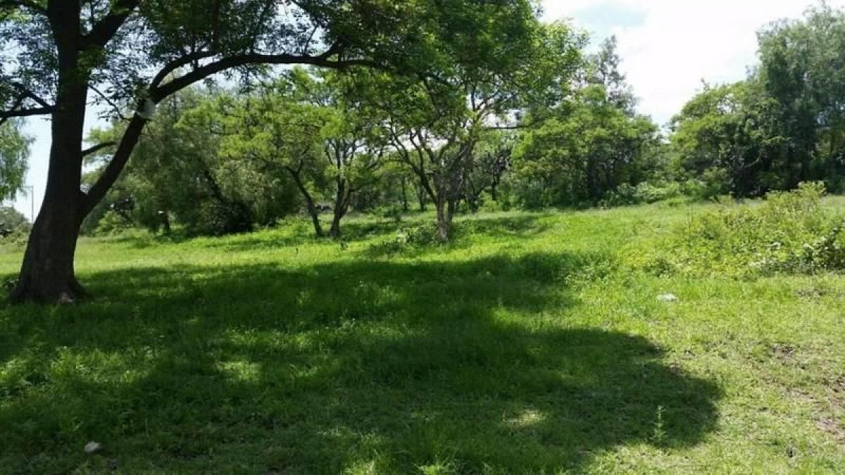  Land in Tepotzotlan, Mexico No. 206690