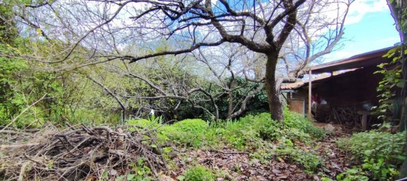 3 Schlafzimmer Haus in Caceres, Spain, Nr. 140426 5