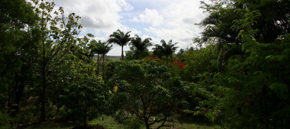 2 chambres Villa à John Hughes / Sawcolts, Antigua and Barbuda No. 8 6