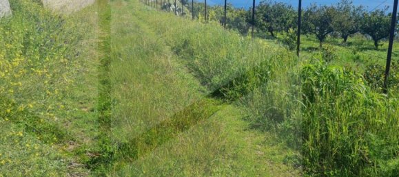 Terrain à Santa Teresa di Riva, Italy 3410m² No. 27951 12