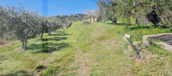 Terrain à Santa Teresa di Riva, Italy 3410m² No. 27951 34