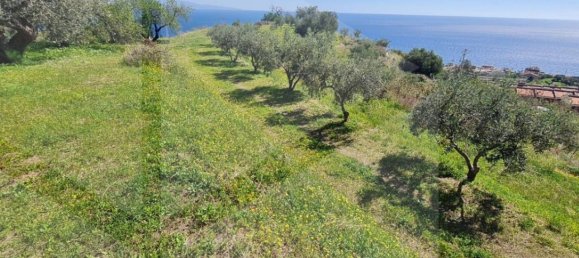 Terrain à Santa Teresa di Riva, Italy 3410m² No. 27951 25