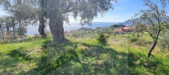 Terrain à Santa Teresa di Riva, Italy 3410m² No. 27951 32