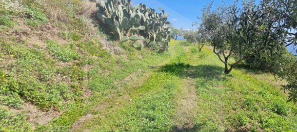 Terrain à Santa Teresa di Riva, Italy 3410m² No. 27951 18