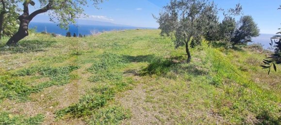 Terrain à Santa Teresa di Riva, Italy 3410m² No. 27951 24