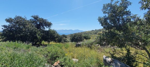 7857m² Hotel in Agios Nikolaos, Greece No. 3945 4