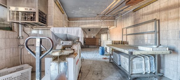 1 bedroom House in Santarem, Portugal No. 184406 8