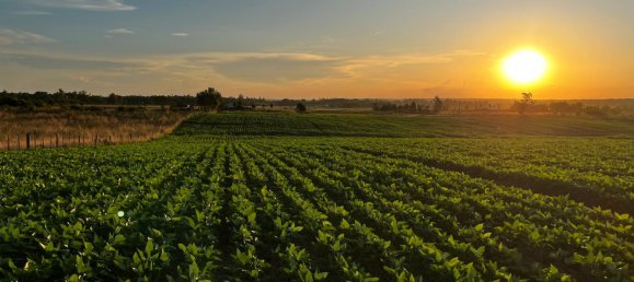 Bungalow T2 em Osnabruck, Germany N.º 293286 4