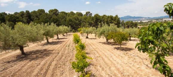 Дом с 15 спальнями в Иби, Испания № 184747 49