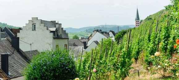 7 rooms House in Cochem-Zell, Germany No. 231704 8