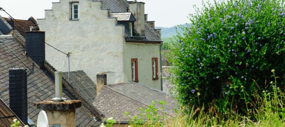 7 rooms House in Cochem-Zell, Germany No. 231704 4