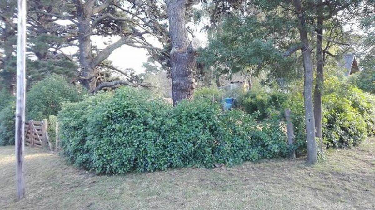 Земельный участок в Мар-дель-Плата, Аргентина № 117545