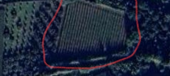 5200m² Land in Villalfonsina, Italy No. 291214 3