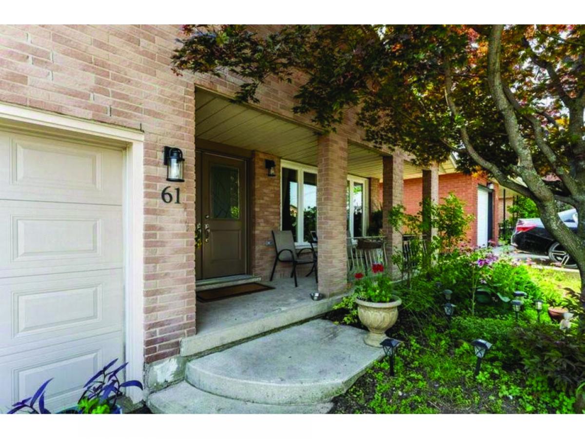 6 bedrooms House in Hamilton, Canada No. 298