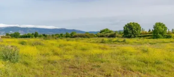 Terrain à Granada, Spain No. 181257 24