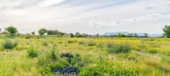 Terrain à Granada, Spain No. 181257 28