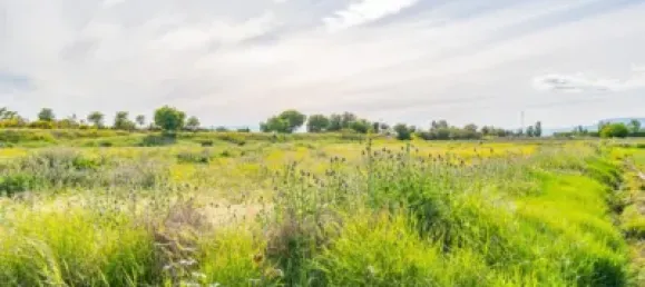 Terrain à Granada, Spain No. 181257 27