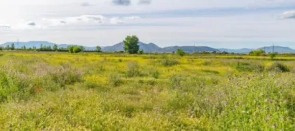 Terrain à Granada, Spain No. 181257 30