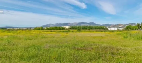 Terrain à Granada, Spain No. 181257 19