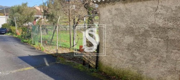 3 غرف نوم منزل في Mosteiro, Portugal رقم 42982 10